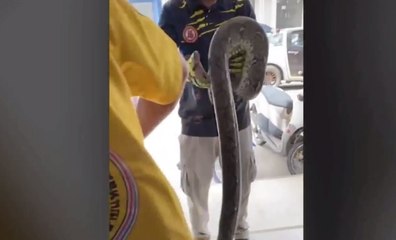 เรื่องพลบค่ำ ช่วงที่ 2 วันพุธที่ 10 พ.ย.64