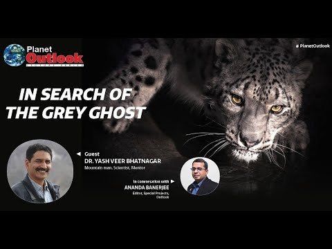 Planet Outlook : In Search of The GREY GHOS