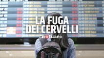 Fuga dei cervelli: perché lavoratori e neolaureati italiani scappano ancora all'estero?