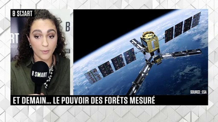 Et demain... Le pouvoir des forêts mesuré