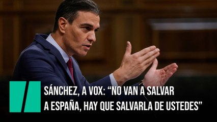Sánchez, a Vox: "No van a salvar a España, a España hay que salvarla de ustedes"