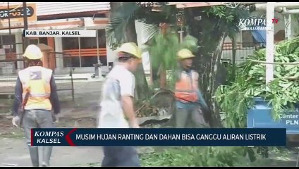 Cegah Gangguan Listrik Saat Musim Penghujan, Petugas PLN Kalselteng Lakukan Pemangkasan Pohon