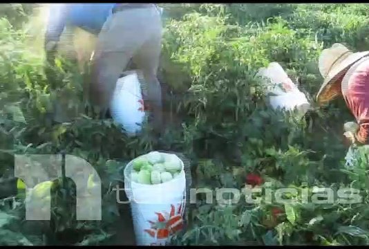 #NacionalesTN / Abogados califican como positiva y de gran importancia oportunidad de visa de trabajo que otorgará Estados Unidos a dominicanos