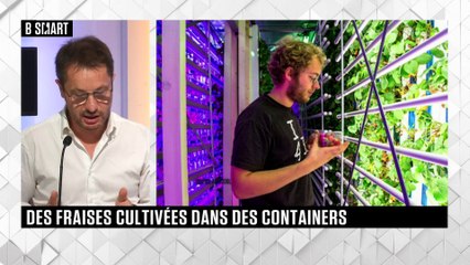 SMART FOOD - À la carte du samedi 13 novembre 2021