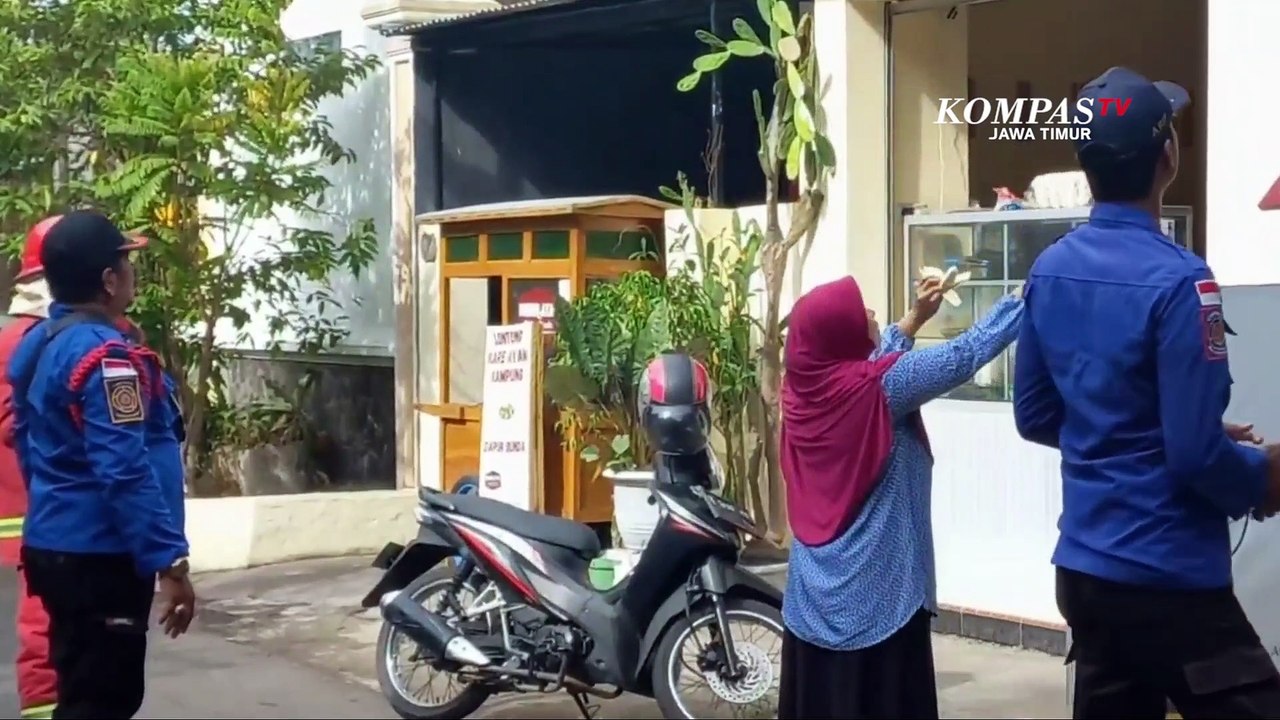 Monyet Liar Teror Warga Probolinggo