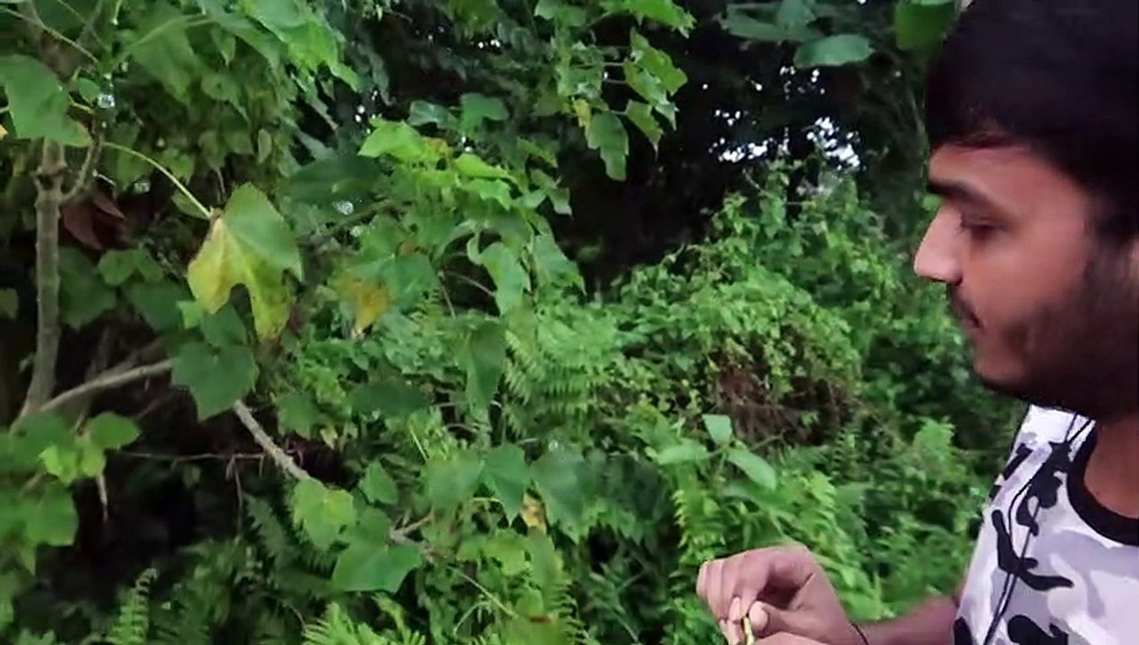 BRAHMAPUTRA  RIVER (A.P)namsai And Morning Sun Rise I ARUNACHAL PRADESH I   vlog75