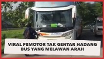 Viral Pemotor Tak Gentar Hadang Bus yang Melawan Arah, Tuai Pujian: Tampan dan Berani