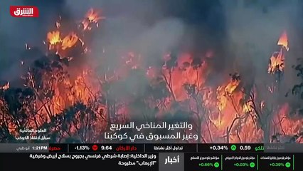 ...الواقع الافتراضي وتطبيق اسمه ديانا ليدي ...