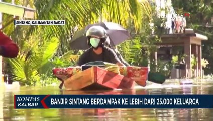 Lebih dari 25.000 Keluarga Terdampak Banjir Sintang, 1.900 Warga Mengungsi