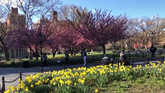 Estados Unidos abre este lunes sus fronteras para los viajeros vacunados