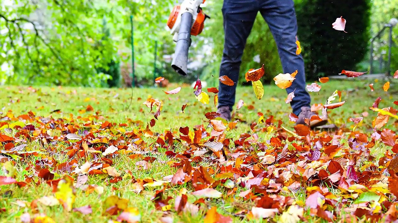 Bundesregierung warnt vor laubbläsern: lieber zum rechen greifen