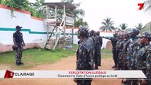 Eclairage | Exploitation illégale : comment la Côte d'Ivoire protège sa forêt