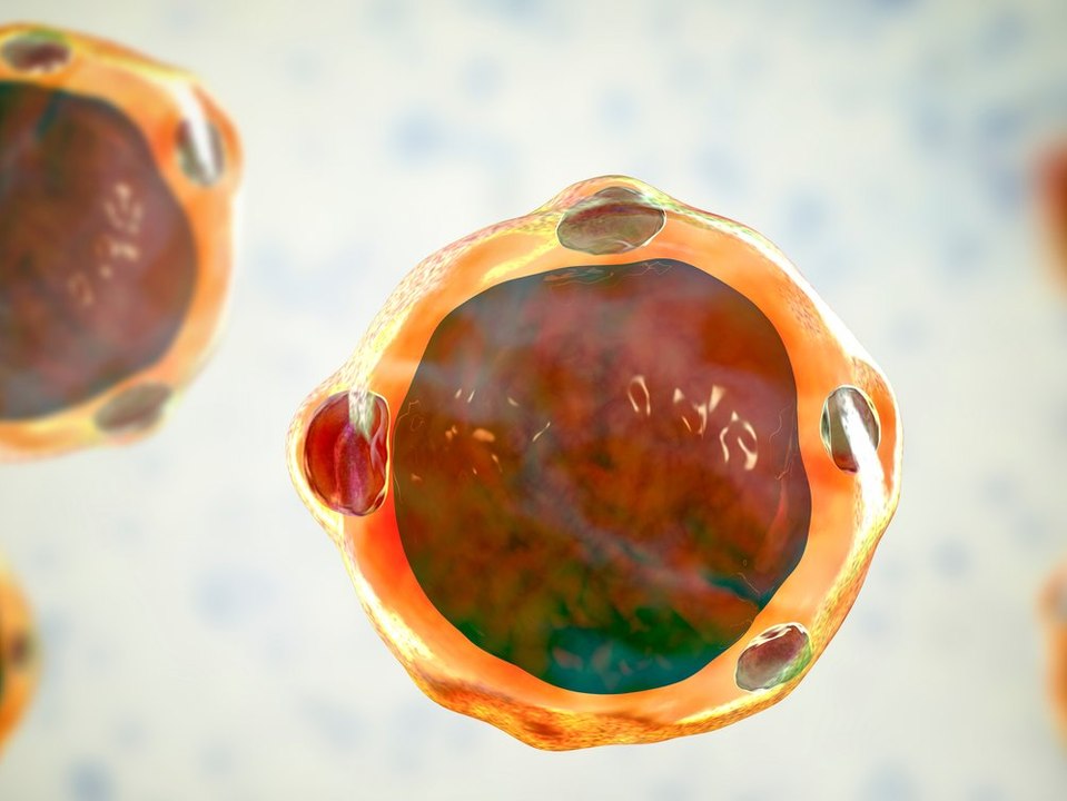 Das ist der 'Einzeller des Jahres 2022'