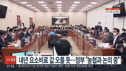 내년 요소비료 값 오를 듯…정부 "농협과 논의 중"