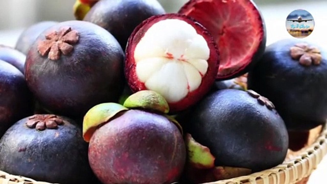 فاكهة المانجوستين الرائعة - هل سمعت عنها سابقآ ؟ / The amazing mangosteen, have you heard of it؟