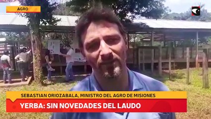 Yerba sin novedades del laudo