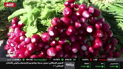 ...شخص يحتاجون إلى مساعدات إنسانية للبقاء ع...