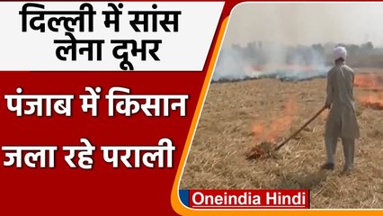 Punjab: Stubble Burning से बाज नहीं आ रहे किसान  | #Shorts | वनइंडिया हिंदी