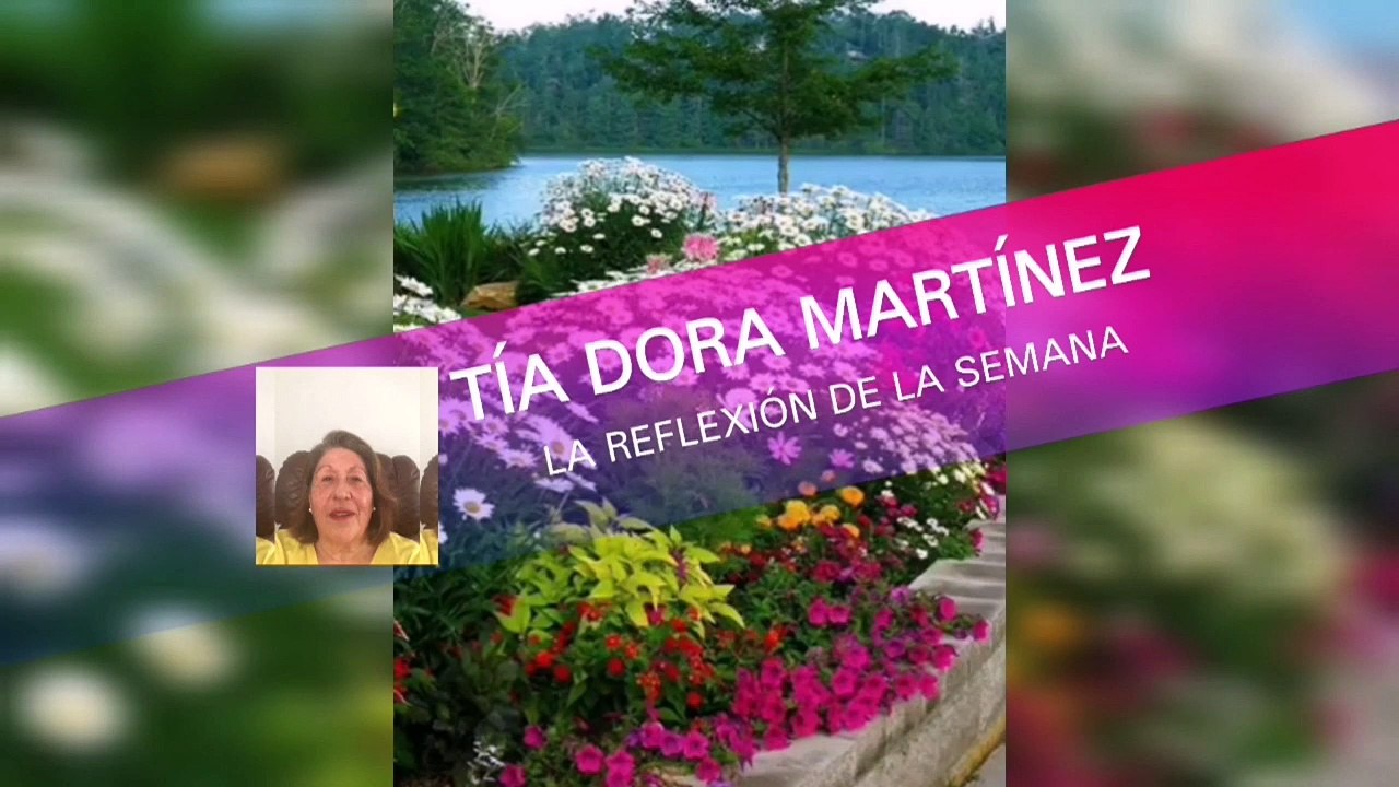 REFLEXIÓN TIA DORA