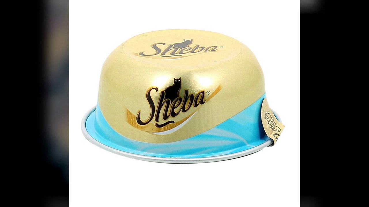 AfterPlay S2 - Episode 10 - Golden Sun 1 & 2