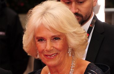 Camilla Parker-Bowles "hasn't stopped talking" about President Joe Biden farting