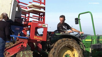 Preisexplosionen in der Nahrungskette: Zwischen Kündigung und Konkurs