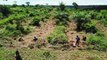 Κονγκό: Το τροπικό δάσος και το ευρωπαϊκό πρόγραμμα για την κλιματική αλλαγή και τη βιοποικιλότητα