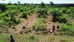 Rainforests in the DRC: "a solution" for climate change