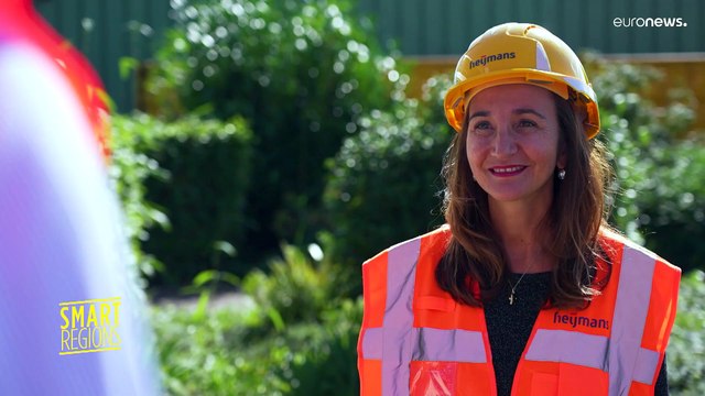 Projeto europeu aposta em painéis solares nas estradas para produzir energia