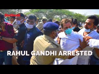 Rahul Gandhi 'Arrested' On Way To Hathras