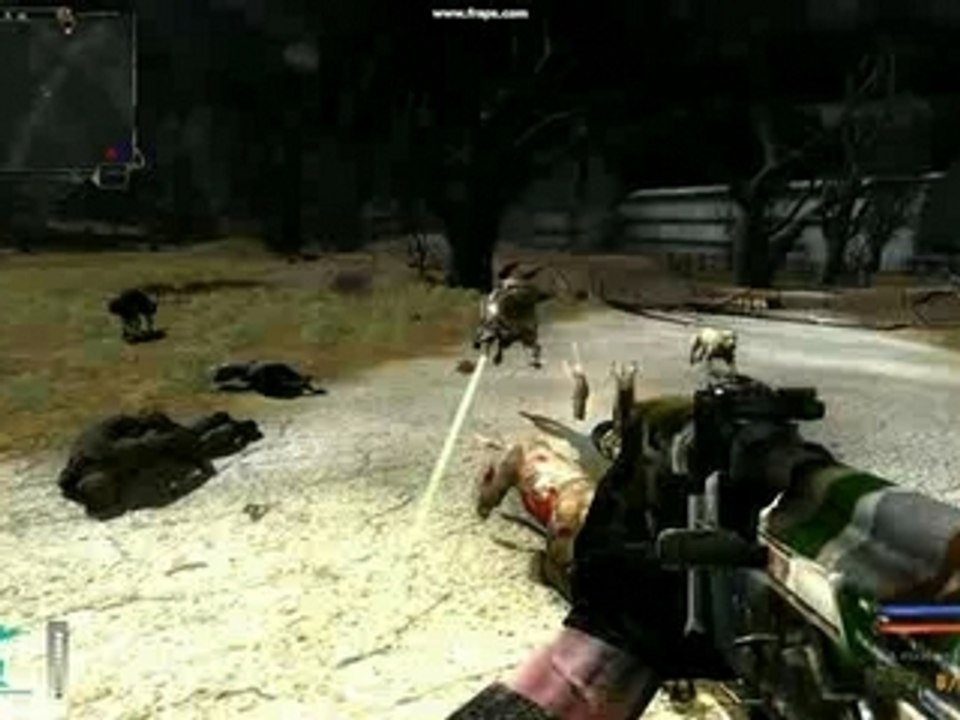 Stalker eyes night