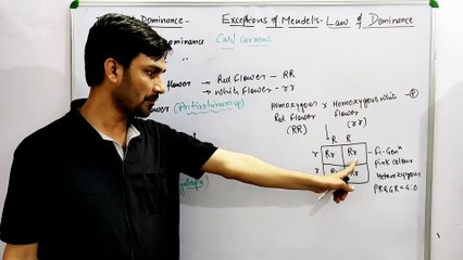 Incomplete Dominance Exception of Mendel's First Law