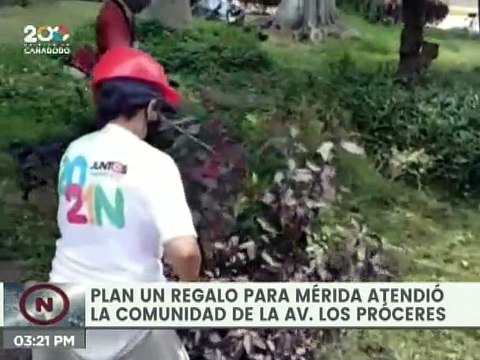 Plan un Regalo para Mérida realizó trabajos de embellecimiento en el Municipio Libertador