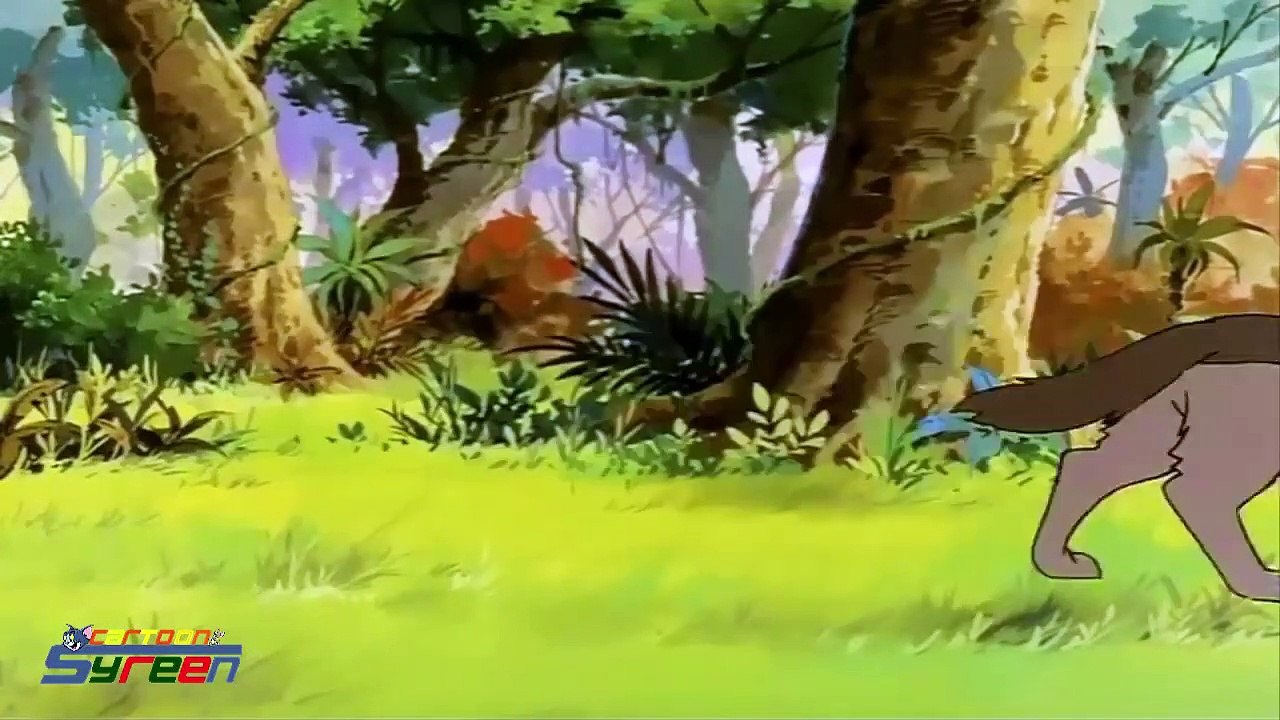 رسوم كارتون ماوكلي الحلقة 6