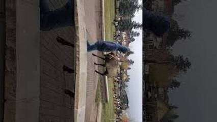 Person Walking Between Two Bull Elk Gets Charged