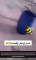 سناب مشاهير تبوك