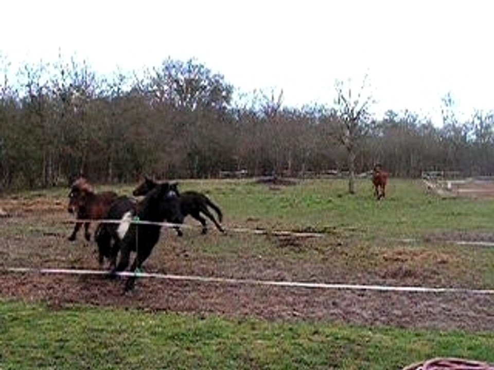 08-03-03 delire shets