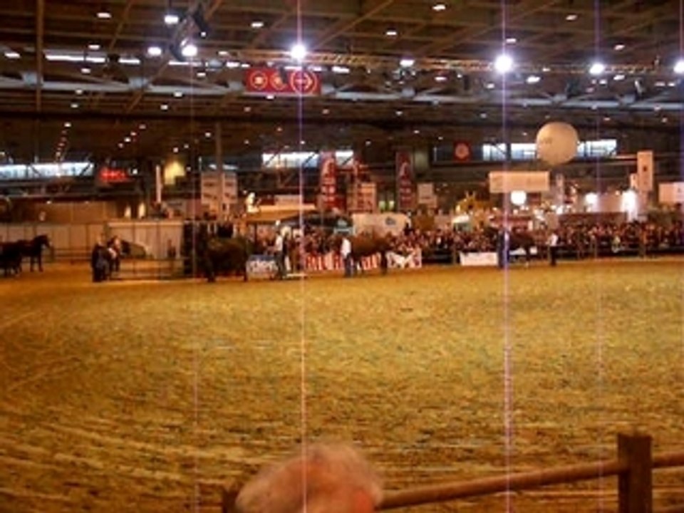 Chevaux au salon de l'agriculture 2008