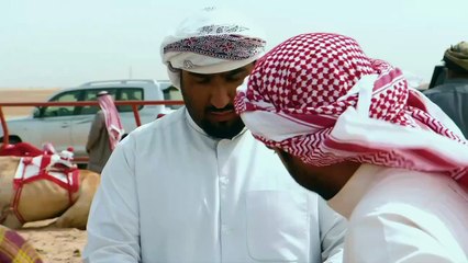 ...حة ، ونظام تحديد المواقع العالمي الدقيق ...