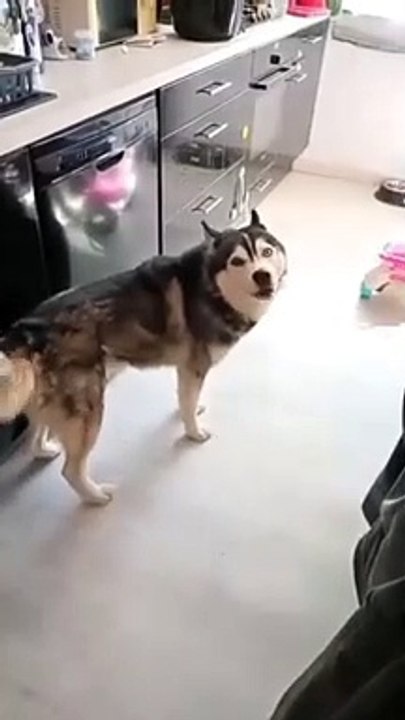 Guess he won that argument .