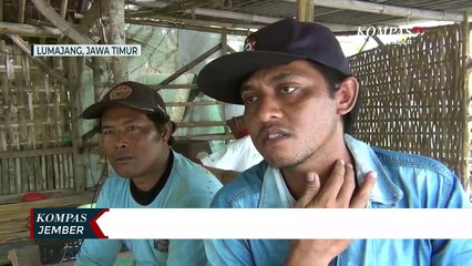 Pemuda Tawuran di Jalan Lintas Selatan, Satu Orang Terluka