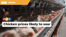 Rising chicken prices cause for concern, says Mydin boss