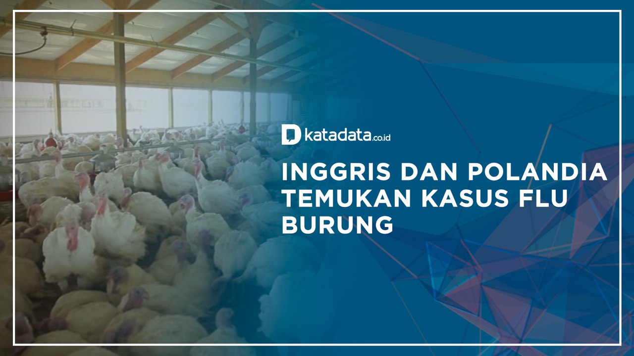 Inggris dan Polandia Temukan Kasus Flu Burung  | Katadata Indonesia