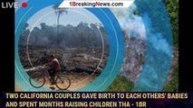 Two California couples gave birth to each others' babies and spent months raising children tha - 1br