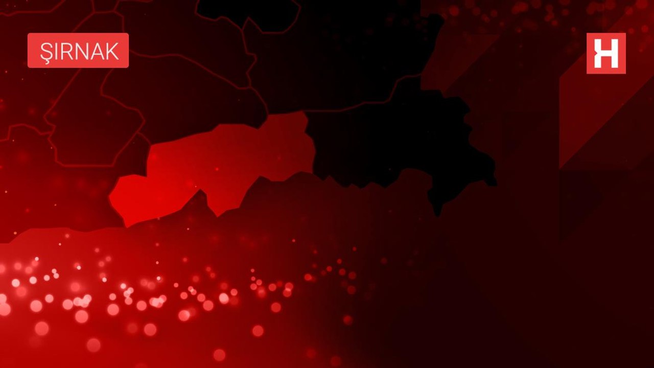 Şırnak'ta Eren Kış-1 Bestler-Dereler operasyonu başlatıldı