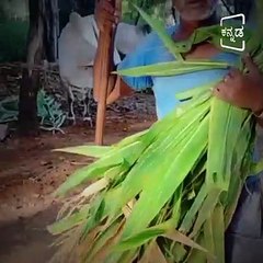 Specially Abled Man Sets an Example in Agriculture.