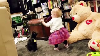 Baby and Cat Fun and Cute videos compilation!!!