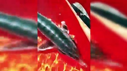 Keban Baraj gölünde ikinci defa görüntülendi, havyarı tam 2 milyon liraya alıcı buluyor