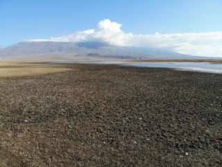 Kuraklık Doğubayazıt Sazlıkları'nı 21 yılda yaklaşık yüzde 30 küçülttü