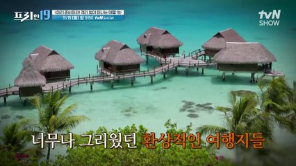 [예고] 미리 준비하자! 격리 없이 떠나는 여행 19